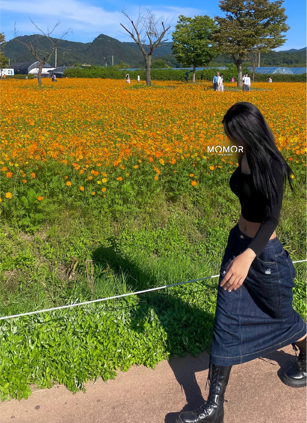 일상 속 모모란